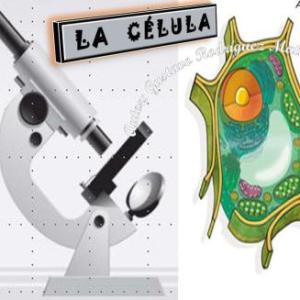 Imagen de portada del videojuego educativo: La célula, de la temática Biología