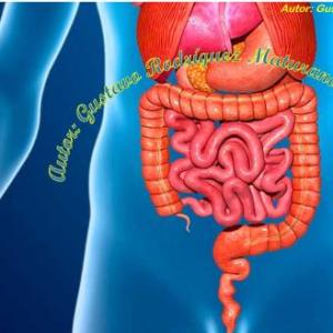 Imagen de portada del videojuego educativo: Sistema digestivo, de la temática Biología