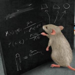 matematicas