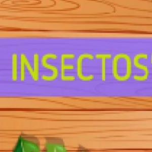Imagen de portada del videojuego educativo: Insectos , de la temática Biología