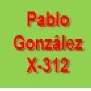 Pablo González Concejal X-312