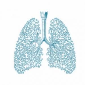 CONCEPTOS BÁSICOS DE LA VENTILACIÓN MECÁNICA 