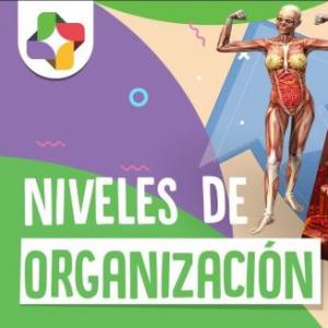 JUEGO DE PAREJAS