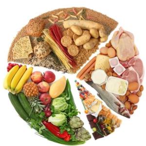 Adivina que alimento es en ingles