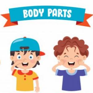 Portada del juego Body Parts – Idiomas
