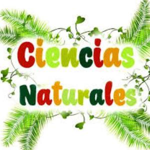 REPASANDO NATURALES