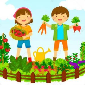 ¿Cómo puedes cultivar tus semillas?