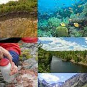 ecosistema