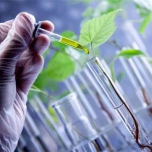 Biotecnología