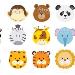 Animalitos divertidos