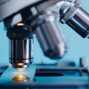 Temas de Biología