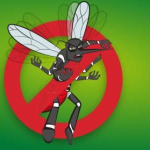Imagen de portada del videojuego educativo: ¡Que no te pique el mosquito!, de la temática Medio ambiente