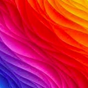 THE COLORS