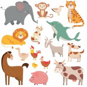 Descubre los animales