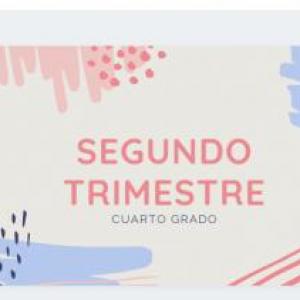 Segundo trimestre 