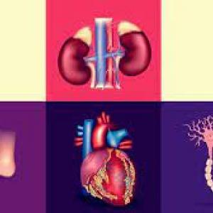 DIABETES, OBESIDAD Y TEJIDO NERVIOSO