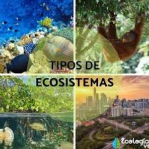 Tipos de ecosistemas | Dana Orrico