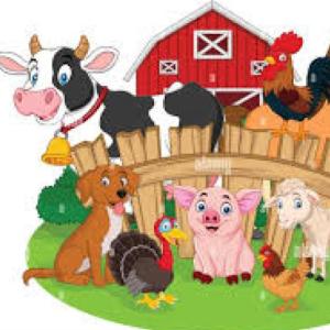 Que animales de la granja es?