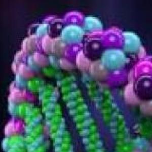 EXTRACCIÓN DE ÁCIDOS NUCLEICOS