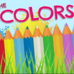ELIGE EL COLOR CORRECTO