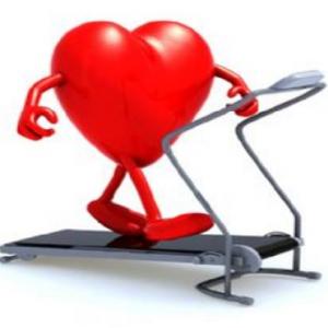 sistemas esquelético y cardiorrespiratorio
