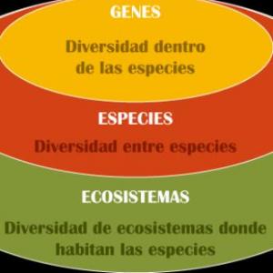 Niveles de Biodiversidad