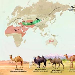 Patrones y tipos de biodiversidad