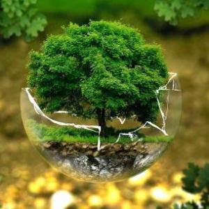 Pon a prueba tu conocimiento del medio ambiente¡