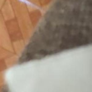 Qqdetec
