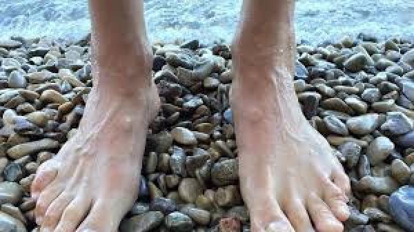 enfermedad charcot marie tooth