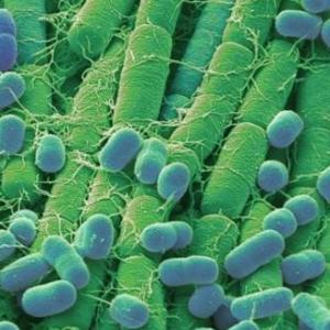 Teorías sobre el origen de la vida