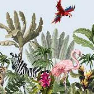 Duchazo de la flora y fauna.