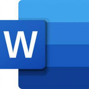 MS Word