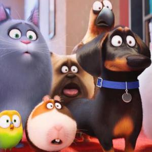 PETS