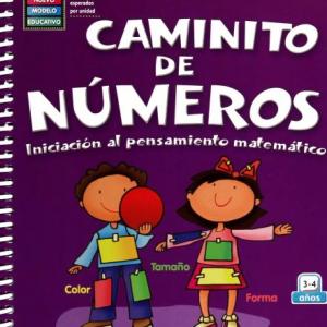 JUEGO VICENTINO
