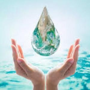 Repaso sobre el agua_individual