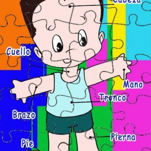 Memo test partes del cuerpo