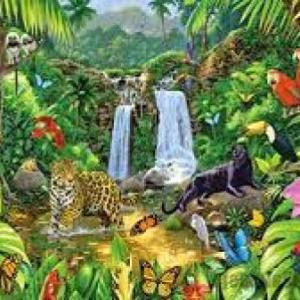 Características de los seres vivos