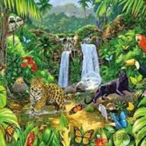 Características de los seres vivos