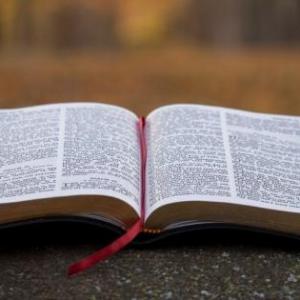 Imagen de portada del videojuego educativo: Libros del Antiguo Testamento, de la temática Religión