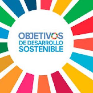 Objetivos de Desarrollo Sostenible (ODS)
