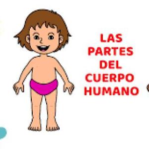 Imagen de portada del videojuego educativo: my body, de la temática Ciencias