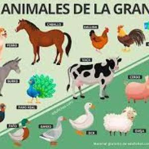 ANIMALS OF THE GRANJA