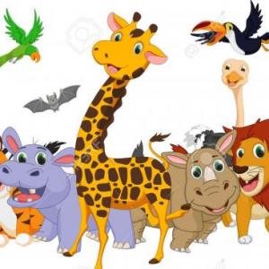 Animalitos