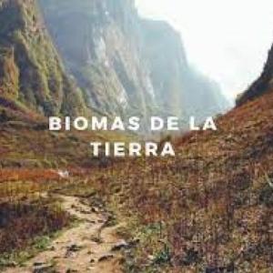 Adivina que tipo de relieve o bioma es