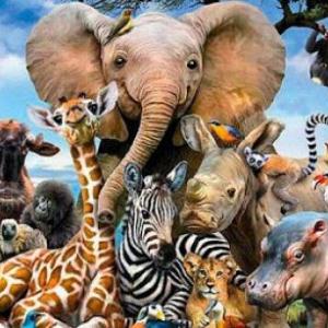LOS ANIMALES