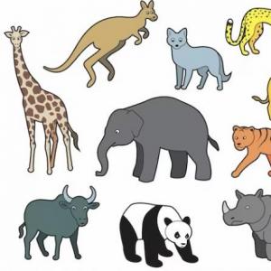 ZooQuiz