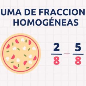 FRACCIONES HOMOGENEAS