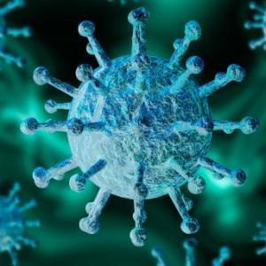 coronavirus
