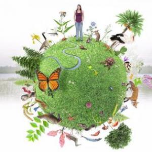 Ecorregiones